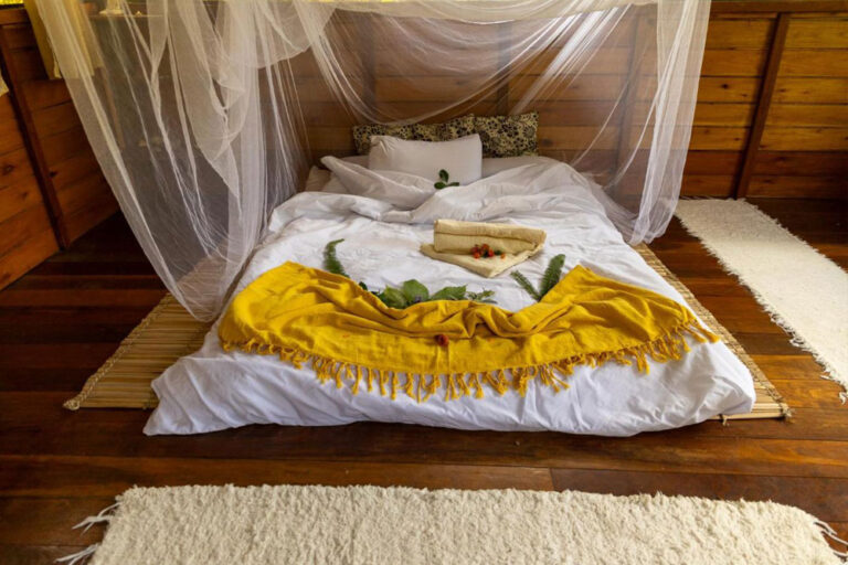 Solaris Terapias Naturais - Centro Ayurvedico, Trattamenti, SPA, Corsi di formazione - Francesca Cortellini